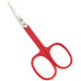 Manicure Scissors