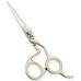 Razor Edge Hair Dressing Scissors