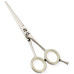 Razor Edge Hair Dressing Scissors