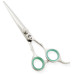 Razor Edge Hair Dressing Scissors